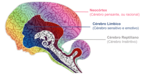 neuromarketing